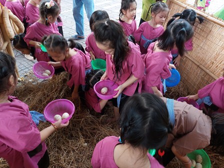 Ảnh đại diện